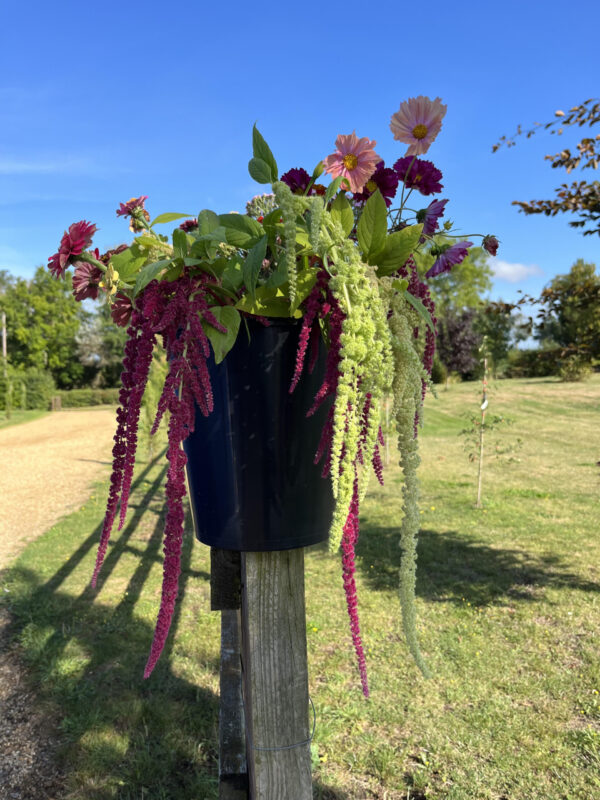 Mixed Flower Buckets (for DIY arranging) - Image 3