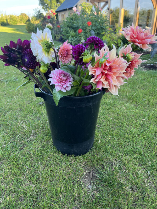 Mixed Flower Buckets (for DIY arranging) - Image 4