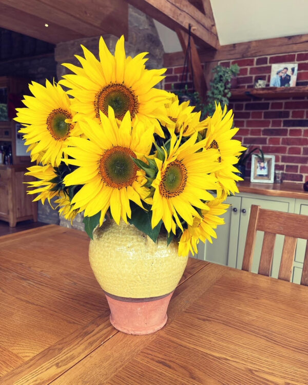 Sunflowers (bunch)