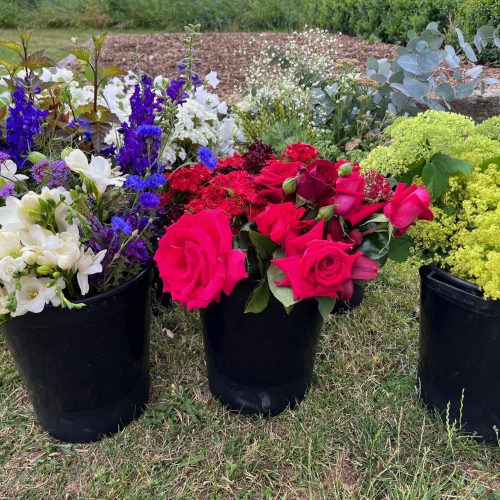 Buckets for June wedding close up